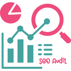 seo audit